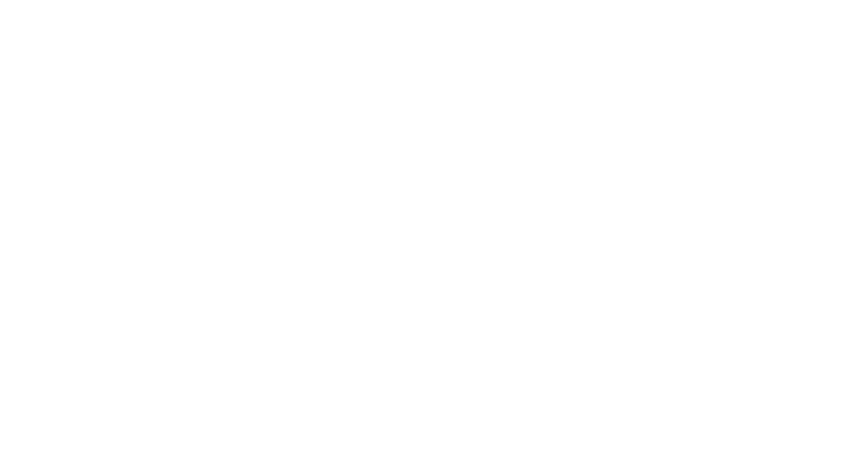 Tanym IQ